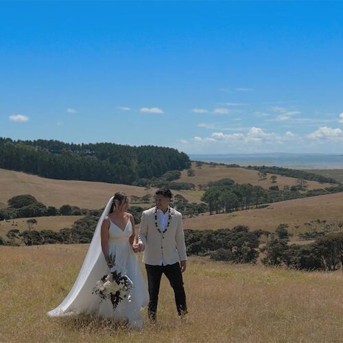 waterfall farm wedding videographer